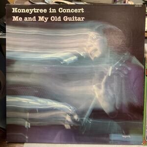 Me and My Old Guitar LP Honeytree in Concert CHRISTIAN FOLK ULTRASONIC CLEAN EX!